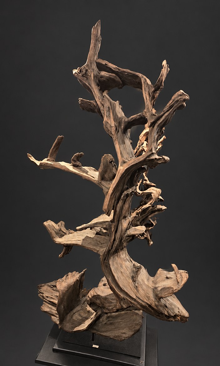 Ascension (AF-OC-001), a naturally formed wood sculpture, 132 cm high × 84 cm wide, on its original black steel mount