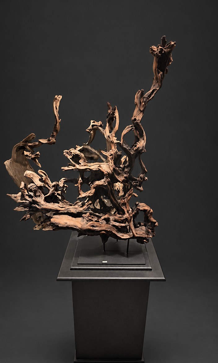 Arcane (AF-OC-012), a naturally formed wood sculpture, 116 cm high × 90 cm wide, on its original black steel mount