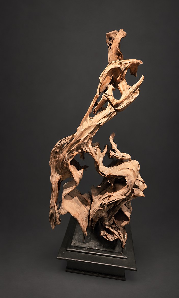 Legacy (AF-OC-013), a naturally formed wood sculpture, 155 cm high × 75 cm wide, on its original black steel mount