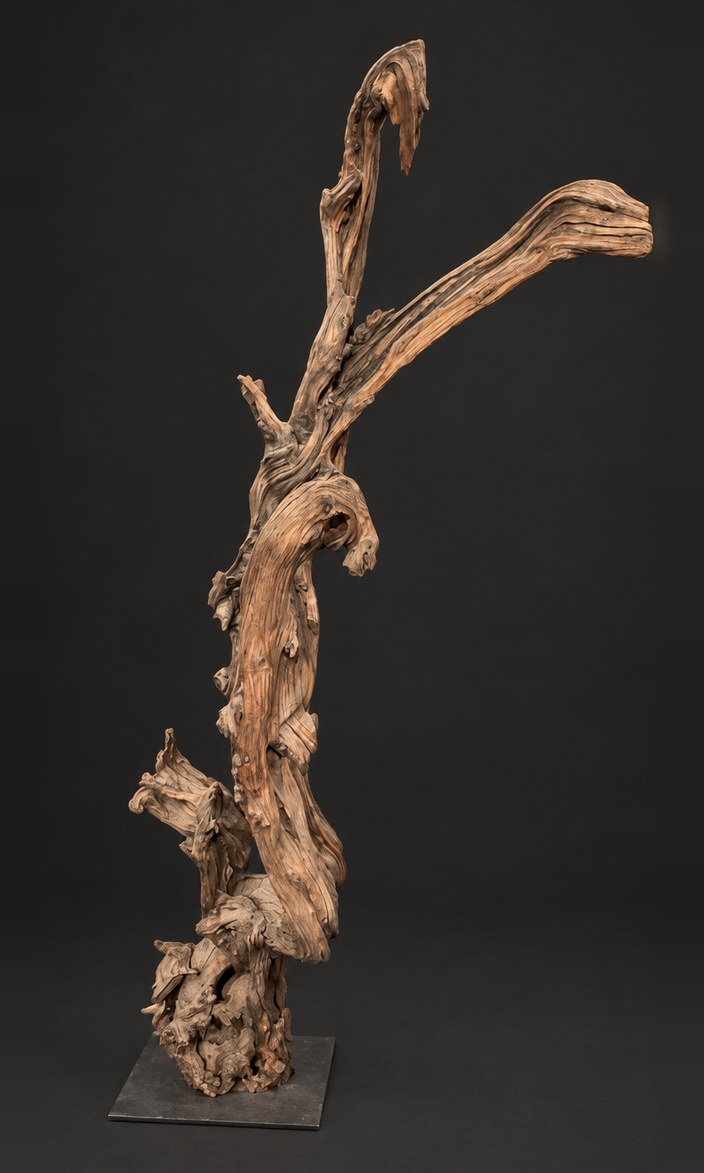Origin (AF-OC-014), a naturally formed wood sculpture, 178 cm high × 90 cm wide, on its original black steel mount